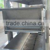 Green Bean Continuous Frying Machine With CE Export to Brazil, Columbia, Dubai, Pakistan, Jordan