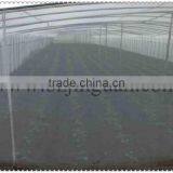 Insect Mesh Net for Agricultural Protection thumbnail-3