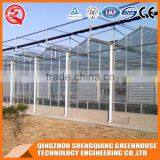 Agriculture Greenhouse in Glass Greenhouse With Grow Light for Sale thumbnail-3
