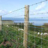 Sheep Wire Mesh Fence