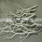 SJ140927 Scale Molde Tree Branches/hot Sale Wedding Decorative Coral Branches