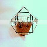 Minimalistic Decor Cuboctahedron Geometric Terrarium thumbnail-2