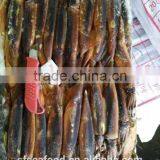 Frozen Seafood Illex Squid 100-150g thumbnail-1