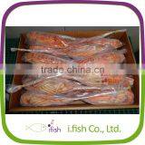 Spiny Lobster thumbnail-1