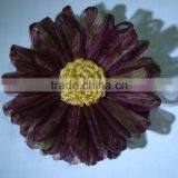 Clip Rose thumbnail-1