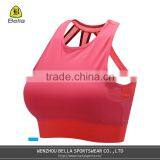 1FT9001 SPORT BRA thumbnail-1