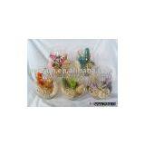 Potpourri in Glass Vase ( Item No.:P-G-203) thumbnail-1