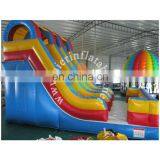 Double Lanes Inflatable Water Slides for Sale, Giant Inflatable Slide for Adult thumbnail-2