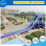 Giant Inflatable for Adult & Kids, Water Slide, Inflatable Slide thumbnail-4