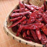 Pepper Drying Machine thumbnail-4