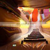 Inflatable Dinosaur Bouncy Water Slide thumbnail-6