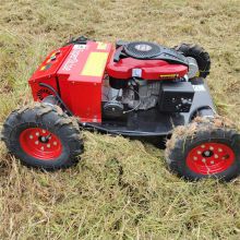 Remote controlled grass cutter with best price in China