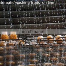 CHINA Factory Fruit Juice Machine Fresh Fruit Juice Production Line Used for Fruit Processing thumbnail-3