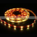 Hot LED Landscape and Decorative Lamp 7.2w/m Led Bars DC12v 24v 30pcs/m SMD 5050 LED Strip thumbnail-1