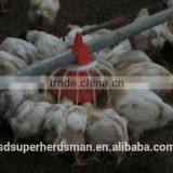 Automatic Poultry Feeding Pan System thumbnail-2