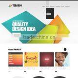 Web Design India