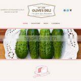 Outsource Web Design Company thumbnail-2