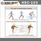 KING BEST Outdoor Sports Walking Stick 3-SECTION Nordic Walking Sticks Adjustable Nordic Walking Stick Elderly Walking Stick thumbnail-5