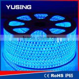 High Voltage 100M Per Roll SMD 3528 Blue Color 220V Christmas LED Strip Light Outdoor Use