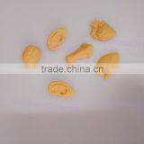 TPR Toys Sticky Human Organ TPR Organ thumbnail-2