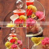 Hot!!! Blown Glass Display Dome&make Decorative Glass Dome for Cake thumbnail-4