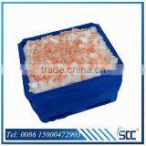 1000L Ocean-going Plastic PE Fish Chest, Fish Box, Fish Bins by Rotomolding thumbnail-3