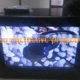 Television Led Display by Excellent Price
