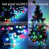 Remote Control Led String Lights WS2811 Pixel 12mm Round for Christmas Tree Decoration