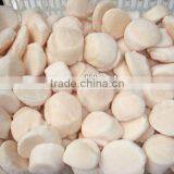 Frozen Scallop Meat