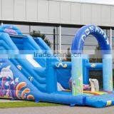Inflatable Dry Slide for Sale, Cheap Price Inflatable Slide thumbnail-2
