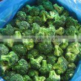 FROZEN BROCCOLI thumbnail-2