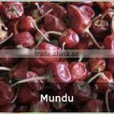 Red Chille Pepper thumbnail-4