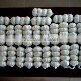 Fresh White Garlic From China thumbnail-1