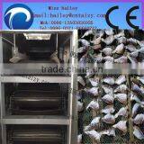 Full-stainless and New Design Friut Mesh Belt Dryer thumbnail-6