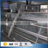 30 Years' Factory Supply Automatic Layer Chicken Cage thumbnail-2