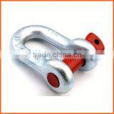 Factory Price Customized 316 Stainless Steel d Shackle
