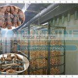 Hot Selling New Functional Banana Chips Dryer Machine| Kiwi Fruit Slices Dryer Machine|Raisin Drying Machine thumbnail-1