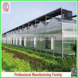 China Cheapest Hot-dip Galvanized Steel Structure Greenhouses With Hydroponic Grow Systems thumbnail-2