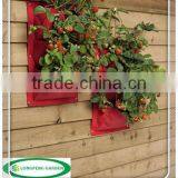 Strawberry Vertical Garden 3-Pockets Grow Bags thumbnail-1