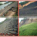 Ecological Nonwoven Fabric Bag thumbnail-1