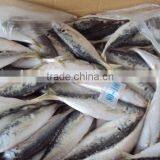 Frozen Whole Horse Mackerel Fish thumbnail-6