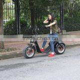 Baogl 800w-2000w Motor Electric Citycoco Scooter Style Motorbike With ce thumbnail-3