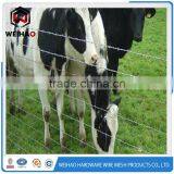 Barbed Wire,galvanized Barbed Wire,cheap Plastic PVC Coated Barbed thumbnail-3