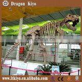 Dinosaur Park Equipment Dinosaur Skeleton thumbnail-3