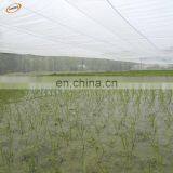 HDPE Insect Proof Net / Greenhouse Plastic Anti Insect Net thumbnail-6