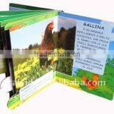 New Fashional Flip Book Printing Service thumbnail-4