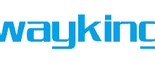Shanghai Wayking Intelligent Technology Co.,LTD