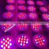 seeds coca LED Grow lamp for green house