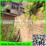 Heavy Duty Long-lasting Flexible Growing Tomatoes Support Net thumbnail-5