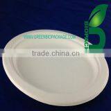 a Biodegradable Disposable Sugarcane Bagasse Ellipse Plate thumbnail-1